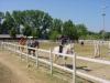 Bambini a cavallo in Umbria
