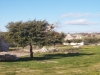 Miglior offerta last Minute Trulli in Puglia 