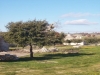 Trulli rentals and B&B in Castellana Grotte