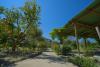 Viale Albergo a 3*** a Forio