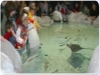 Acquari con specie marine varie