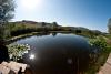palude immersa nella natura incontaminata umbra 