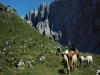 Vacanze nella natura in Trentino