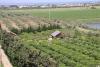 Glamping di lusso a Trapani