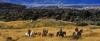 Trekking/lezione di equitazione 