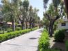 Villaggio a Diamante immerso nel verde