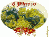 Mimosa simbolo della donna