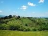 Agriturismi nel Chianti