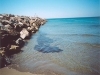 agritourisms and  hotels in marina di grosseto