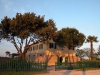 centro-ippico-equitazione-macerata