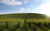 Agriturismo con produzione assaggio Vini DOC Umbria