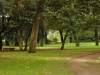 verde intorno