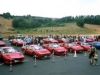 Raduno ferrari