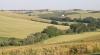 Colline Marchigiane