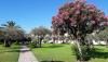 Villaggio immerso nel verde con ulivi, oleandri