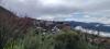 PISCIOTTA ?>