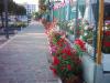 Bed and Breakfast in centro di Lido Adriano