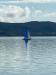Escursioni Lago Trasimeno in barca a vela