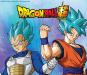 Dragon Ball Centronova 