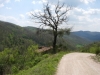 Strada di Campagna nei pressi di  Pietralunga