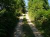 Passeggiate verdi vicino al BB a Orvieto