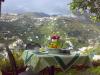 Bed and breakfast panoramico