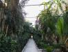 Hammamet Offerte Speciali Resort Tunisia 4 stelle Allinclusive