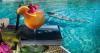 Hotel 3 stelle bar piscina Rodi-Garganico-Puglia