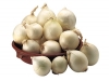 Typical Cannara onions