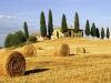 The Best Holiday deal in Buti, Tuscany