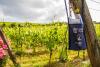 Cantine aperte strada del Sagrantino