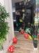 Ingresso con Allestimento Romantico Camera