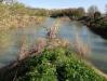 incontro tra il Tevere  ed il Nestore