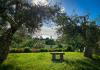 Villa per 12,14 persone a Torricella, Umbria