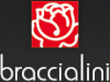 Braccialini: Borse, Portafogli, Portachiavi 