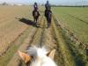 passeggiate interne ed esterne a cavallo