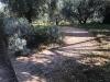 Agriturismo con Grandi Spazi All'Aperto in Umbria-Bettona