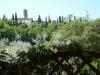 Veduta paese di Montecchio in Umbria