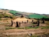 La foresta fossile di Dunarobba
