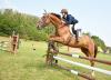 Passione per i Cavalli, Equitazione in zona
