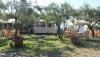 Roof-garden-servizio-bar-spiaggia-Hotel-4stelle-Villammare-Cilento