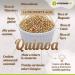 quinova alimento per dimagrire