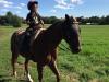 Equitazione in Hotel a Cascia