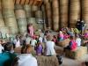 Scampagnata in fattoria con le Donne in Campo! ?>