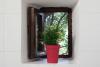 Bagno con finestra Appartamento-Giolli Borgo-sul-Clitunno Umbria