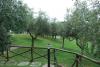 Grande parco verde