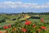 Splendida vista dal B&B, camere con bagno privato