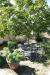 Giardino area relax relais Calenzano vicino Sesto Fiorentino