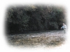 La pesca sportiva