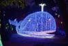 Luci D'Artista: Natale a Salerno